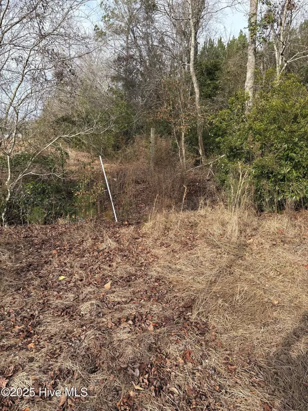 Tabor City, NC 28463,Tbd Near 455 Dothan Road
