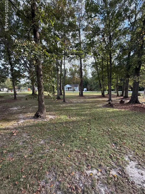 Whiteville, NC 28472,Lot #1 Prison Camp RD