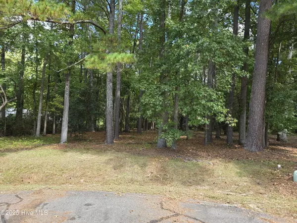 Pikeville, NC 27863,Lot 14 NW Pony CIR