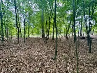 Hertford, NC 27944,50 & 51 Chestnut ST