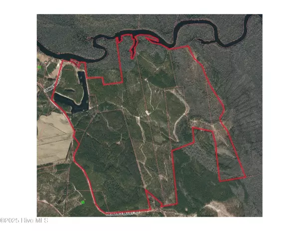 Currie, NC 28435,250 Long Bluff RD