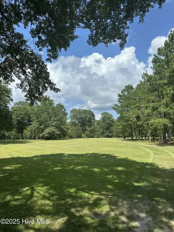 Currie, NC 28435,250 Long Bluff RD