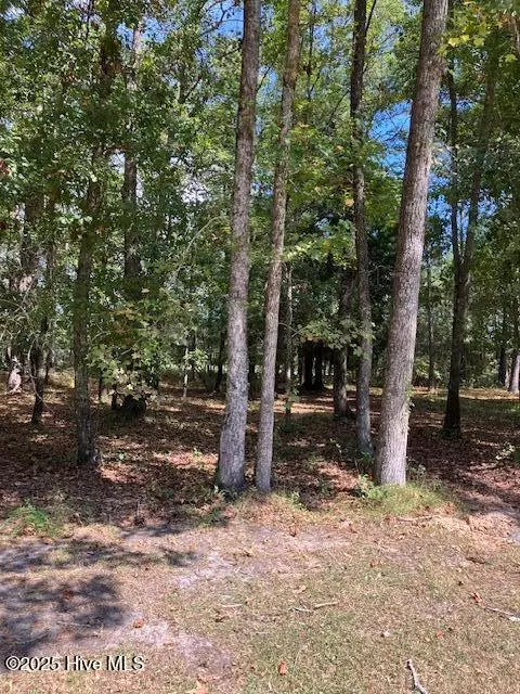 Bolivia, NC 28422,471 Shiloh LN SE