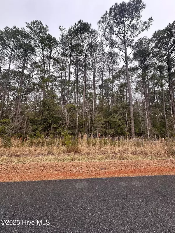 Supply, NC 28462,159 Dogwood TRL SW