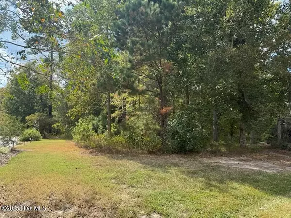 Hertford, NC 27944,23 Arenuse Creek Court CT