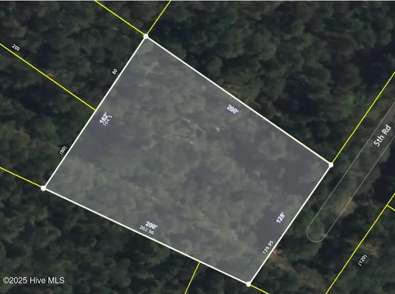 Boiling Spring Lakes, NC 28461,Lot 129 5th RD
