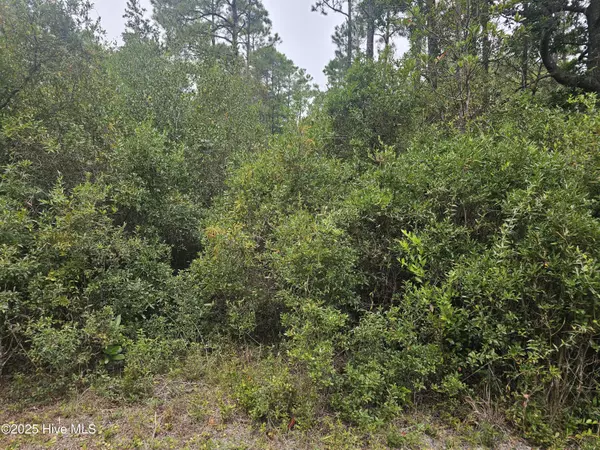 Boiling Spring Lakes, NC 28461,Lot 129 5th RD