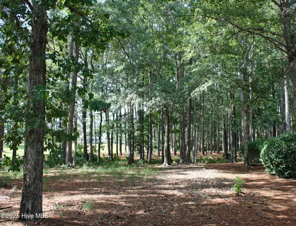 Ocean Isle Beach, NC 28469,513 Cliffside PT SW