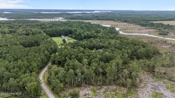 Merritt, NC 28556,1745 Alligator Loop RD
