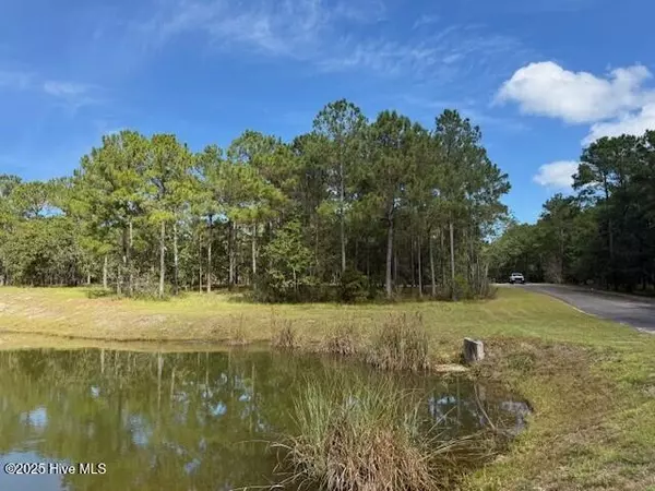 Bolivia, NC 28422,3069 Sounding ST SE