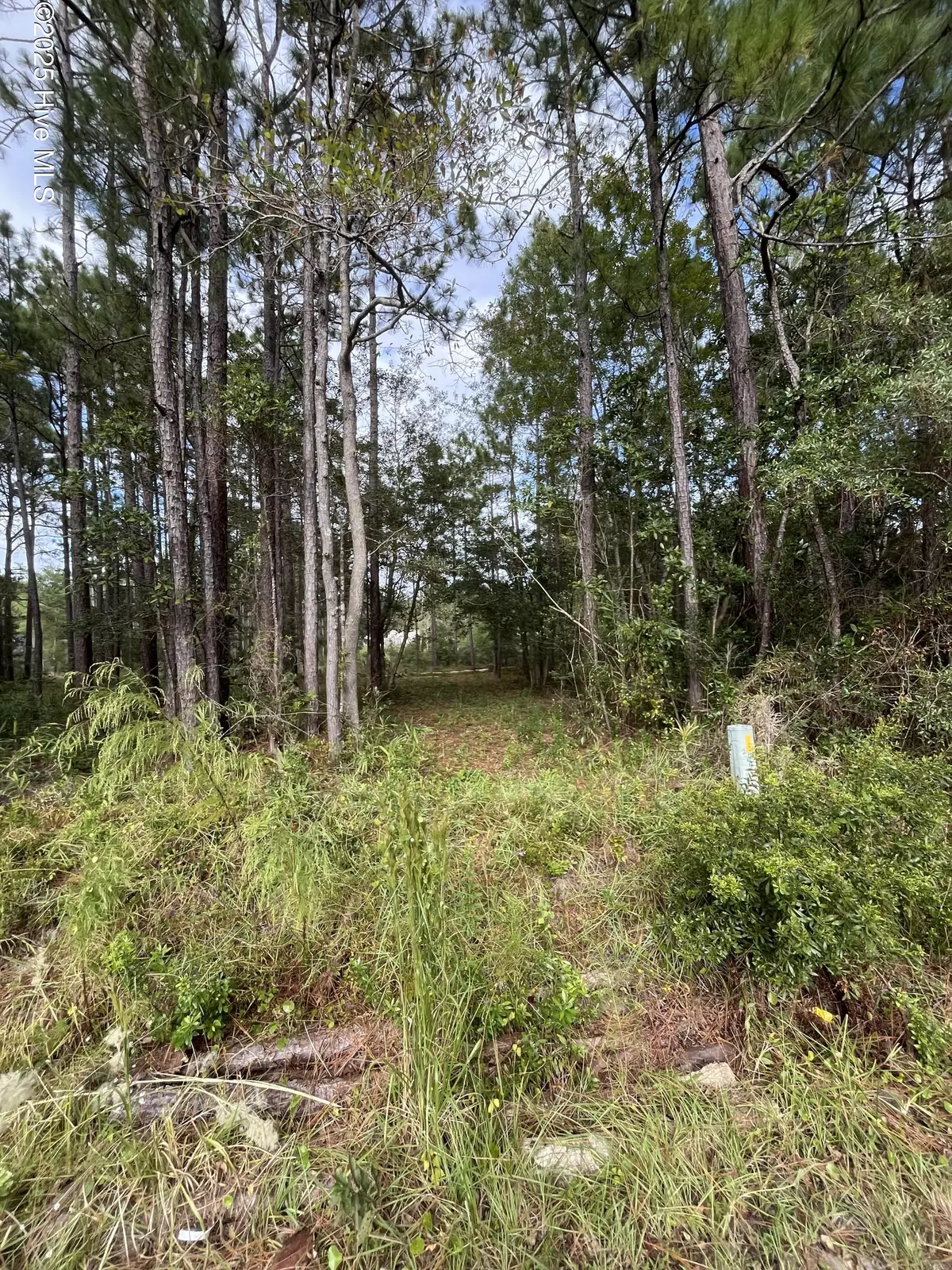 Southport, NC 28461,10,22,30 Cherry RD