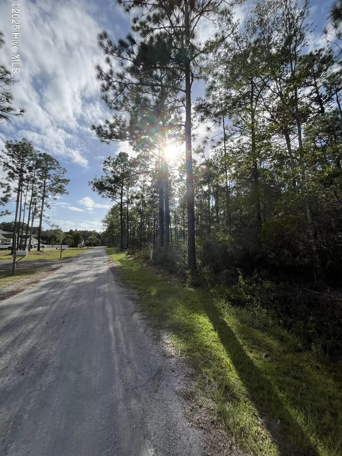 Boiling Spring Lakes, NC 28461,Lot 7 Maple RD