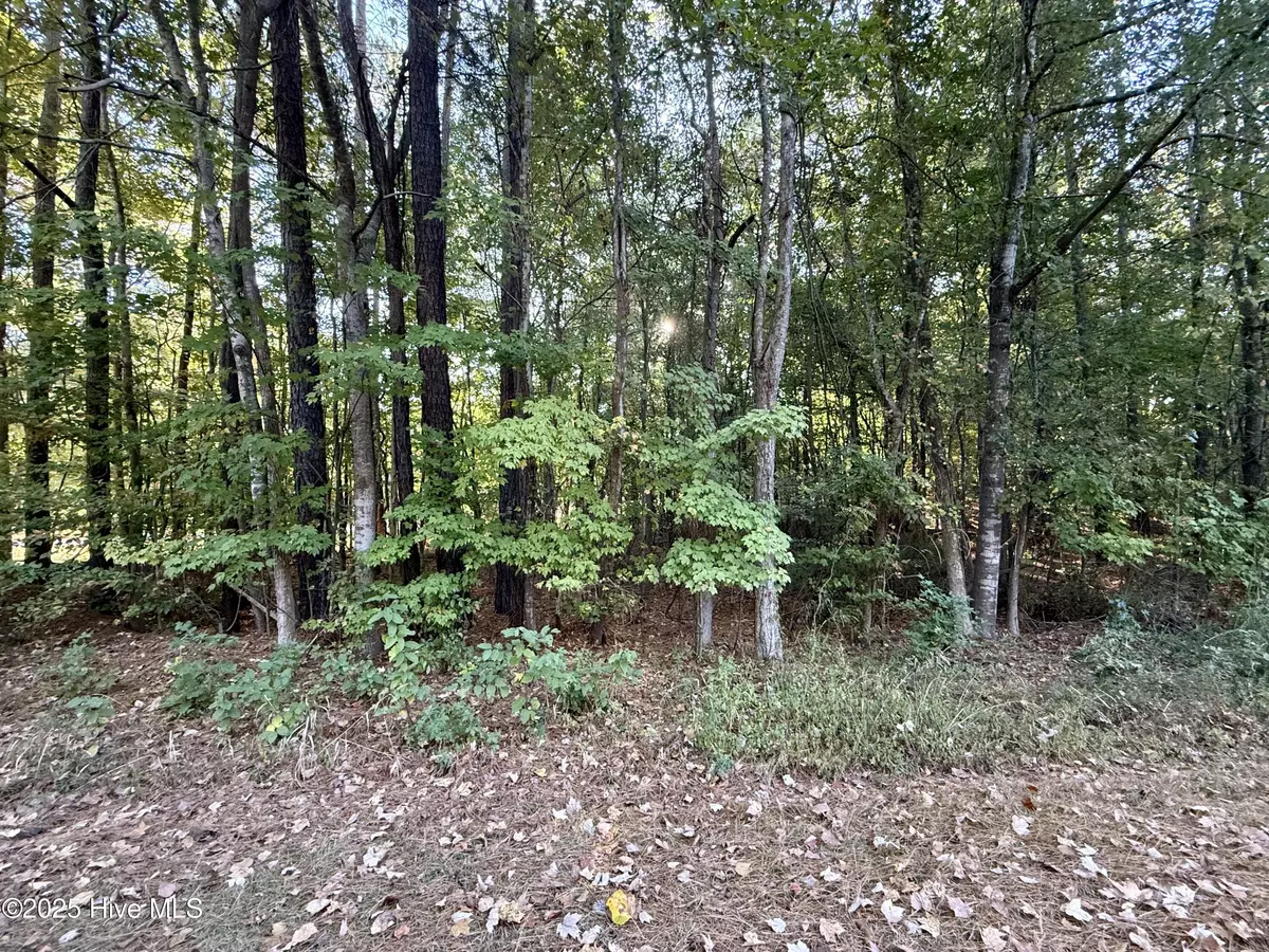 Hertford, NC 27944,Tbd Clark ST