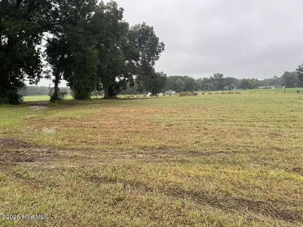 Clarkton, NC 28433,3564 Bill Hooks Lot 4 RD