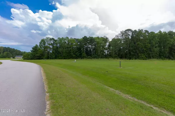 Minnesott Beach, NC 28510,341 W Burton Farm DR