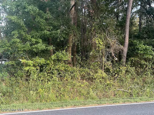 Clarkton, NC 28433,4595 Mercer Mill Brown Marsh RD
