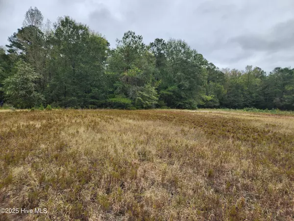 210 Hwy, Currie, NC 28435
