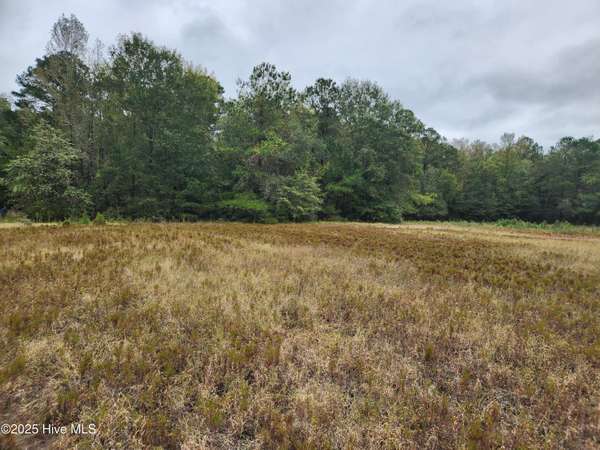 210 Hwy, Currie, NC 28435