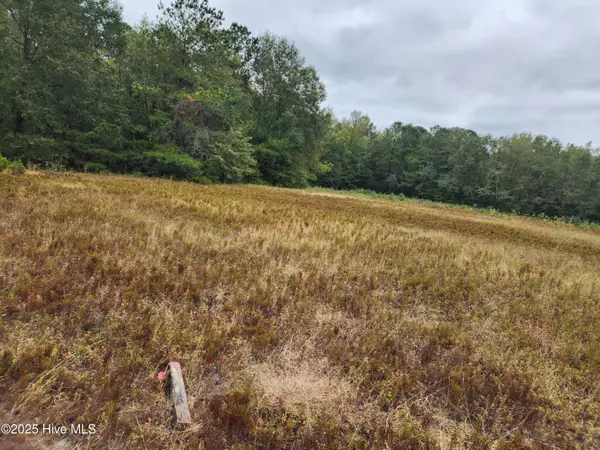 Currie, NC 28435,210 Hwy