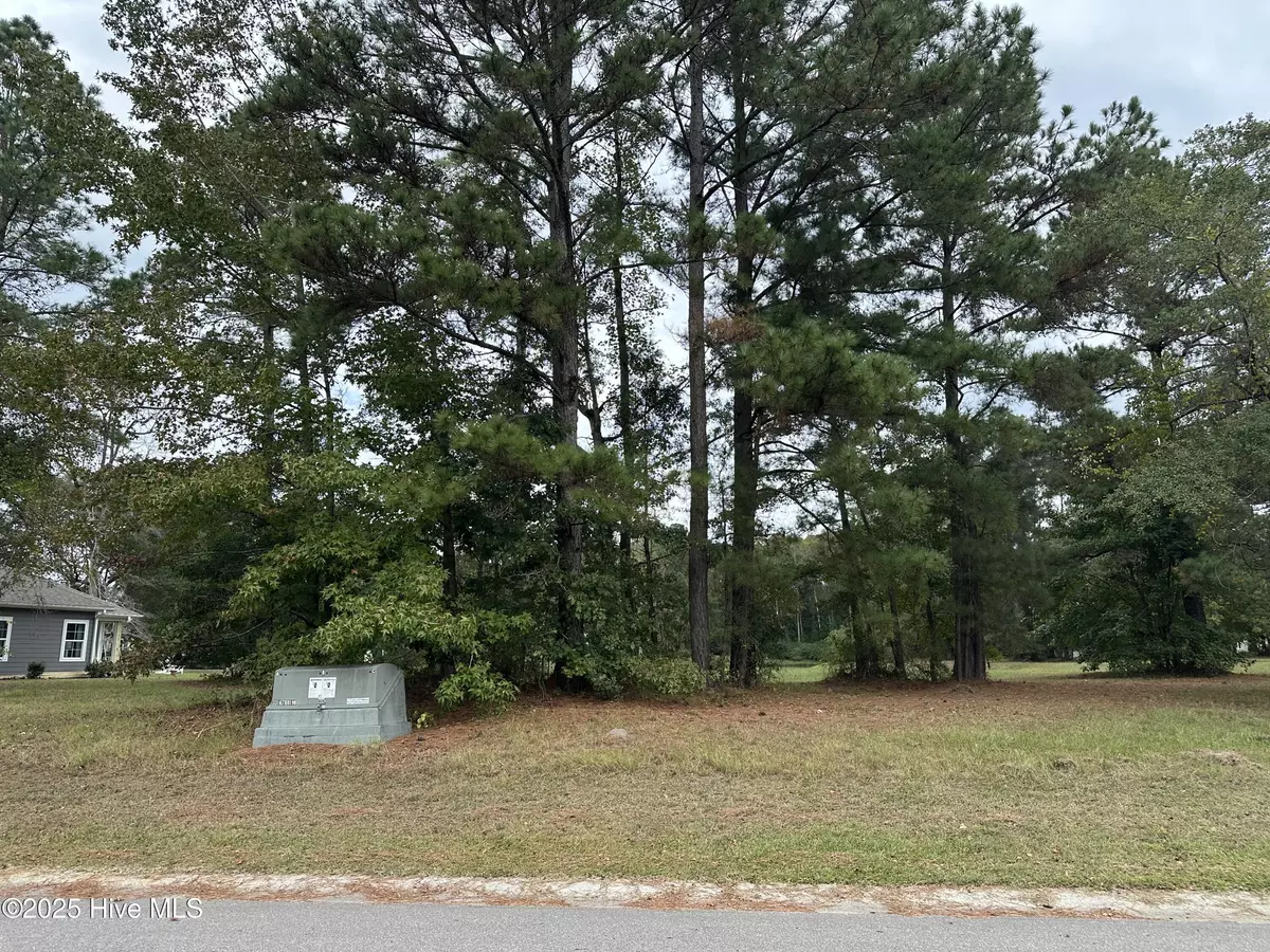 Wallace, NC 28466,173 Cherry Laurel DR