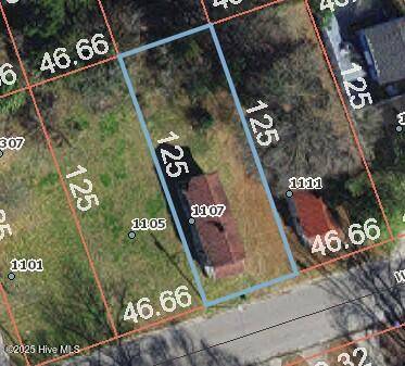 1107 Woodard AVE SE, Wilson, NC 27893