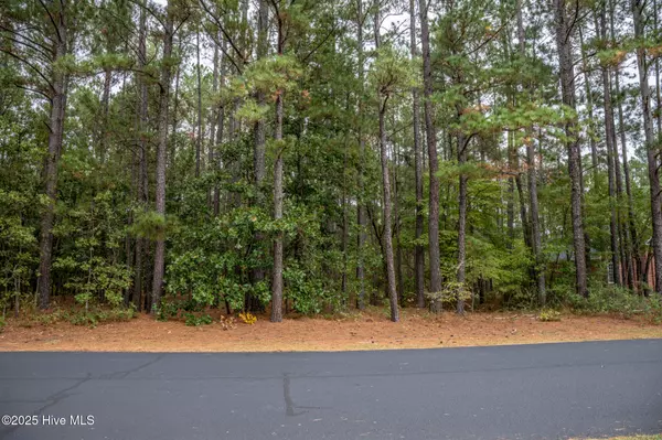 Wagram, NC 28396,Lot 5 Deercroft