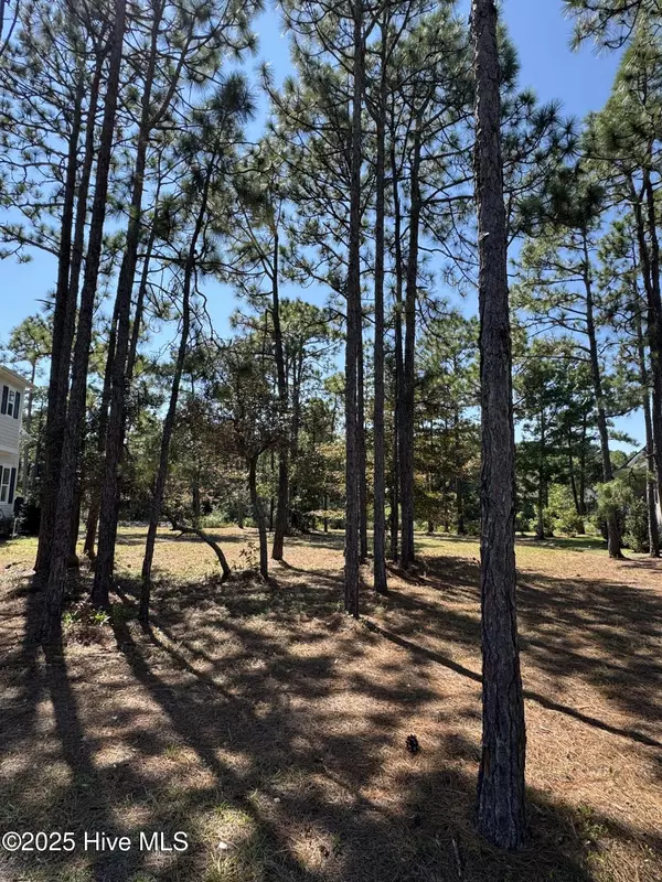 Ocean Isle Beach, NC 28469,6727 Madden LN