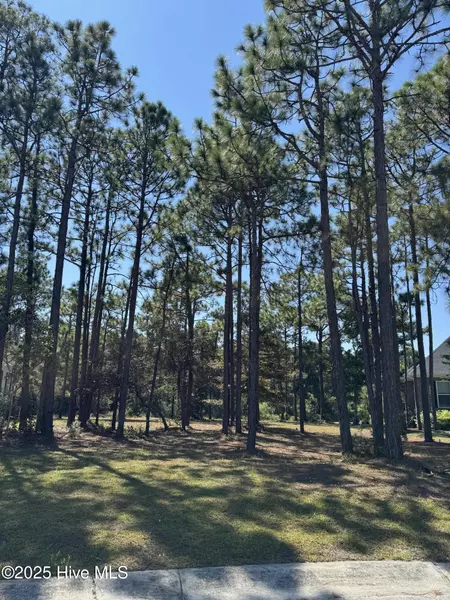 6727 Madden LN, Ocean Isle Beach, NC 28469