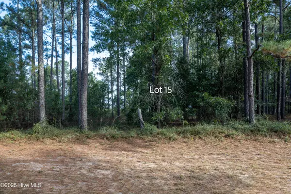 Garland, NC 28441,15 Old Tom Morris RD