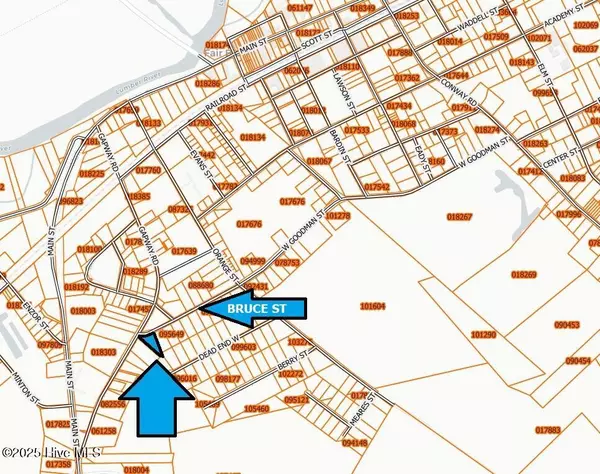 Fair Bluff, NC 28439,205 Bruce ST