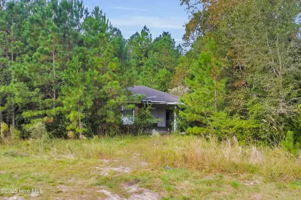 Pollocksville, NC 28573,10710 Highway 17