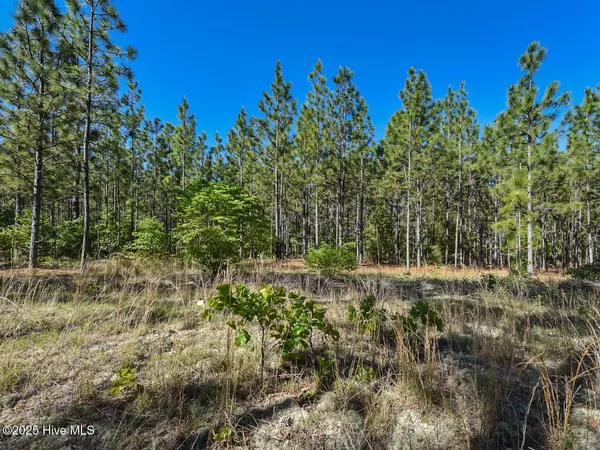 Aberdeen, NC 28315,224 Foxfire RD