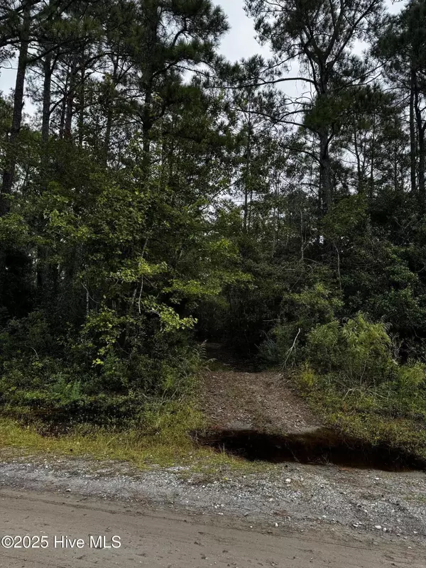 Southport, NC 28461,498 Redwood DR