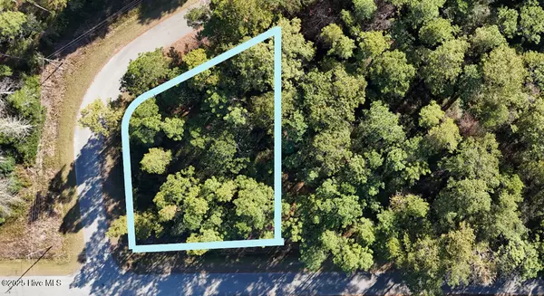 Lot 204 Masters DR, Boiling Spring Lakes, NC 28461