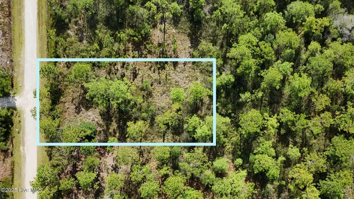 Boiling Spring Lakes, NC 28461,Lot 6 Statesville RD