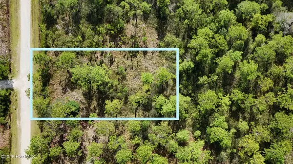 Lot 6 Statesville RD, Boiling Spring Lakes, NC 28461
