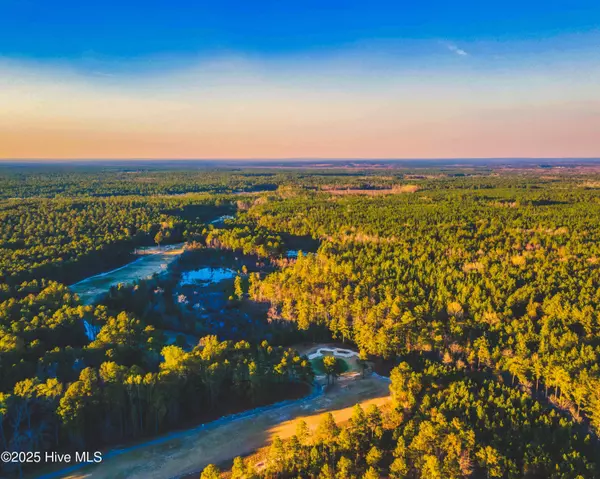 Wagram, NC 28396,Trt 9 Peach Orchard RD