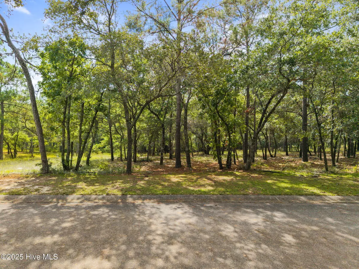 Supply, NC 28462,678 Loreauville DR SW