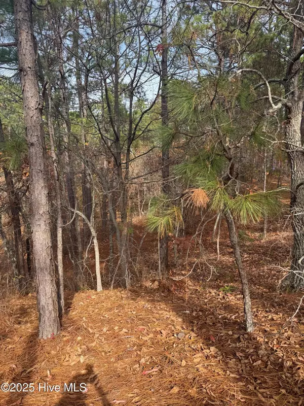 West End, NC 27376,106 Parker CT