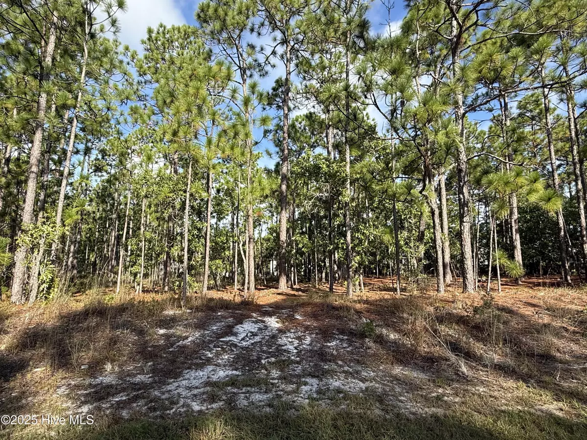 Southport, NC 28461,585 Westwood RD