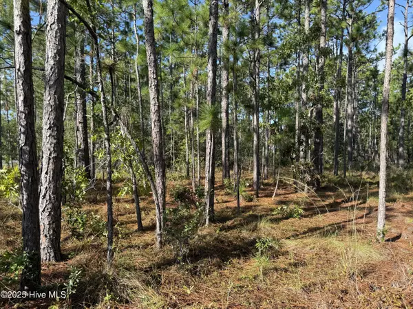 Southport, NC 28461,585 Westwood RD