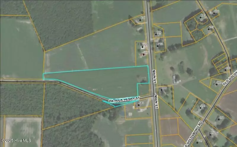 Newton Grove, NC 28366,0 Main ST