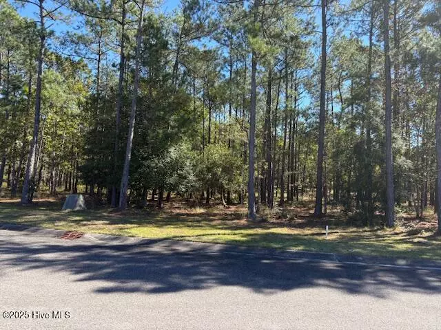 Bolivia, NC 28422,3002 Vera Cruz CIR SE