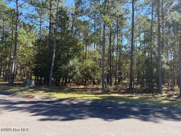 3002 Vera Cruz CIR SE, Bolivia, NC 28422