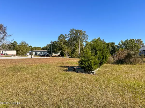 Leland, NC 28451,3975 Sourwood CT NE