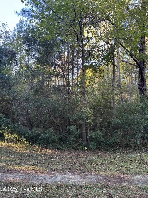 Rocky Point, NC 28457,0 Canal RD