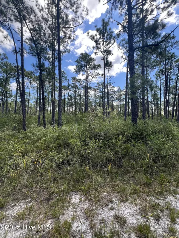 Boiling Spring Lakes, NC 28461,80 Bohemia RD