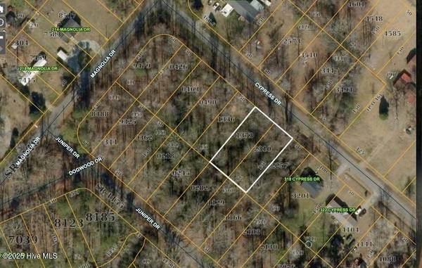 310 Cypress DR, Edenton, NC 27932