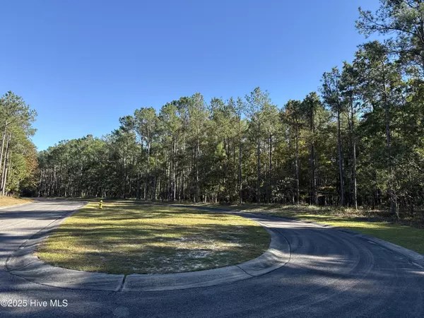 Bolivia, NC 28422,606 Bendigo Passage SE