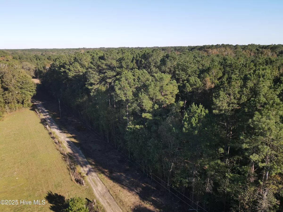 Currie, NC 28435,282 James E Moore RD